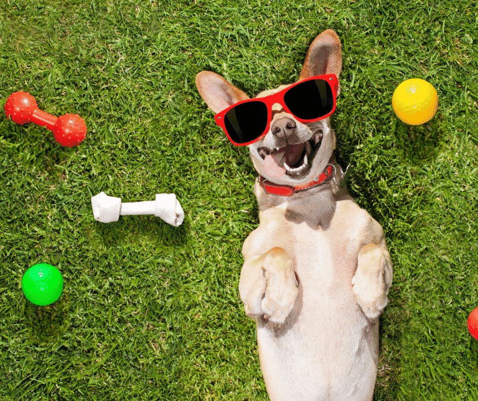 How to become a good buyer agent